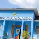 Sejarah Singkat