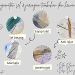 KIR: Pengamatan mikro struktur Daun